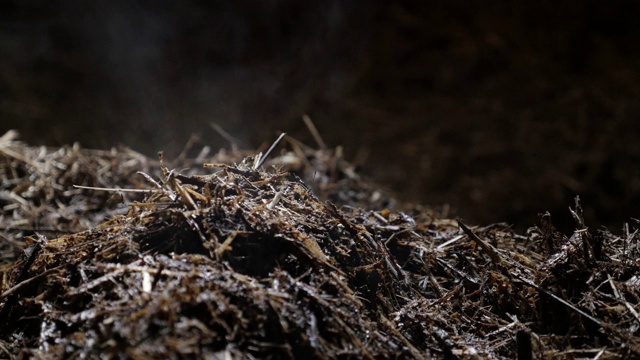 能量源在富氮土壤肥料视频视频素材