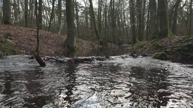 Veluwe自然保护区暴雨后的Leuvenum森林小溪泛滥视频素材