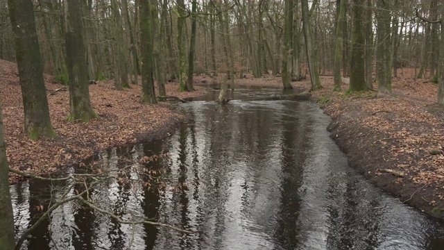 Veluwe自然保护区暴雨后的Leuvenum森林小溪泛滥视频素材