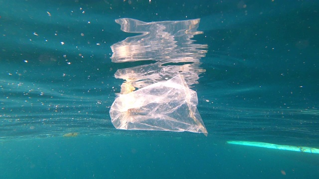 一个塑料袋漂浮在海面下视频下载