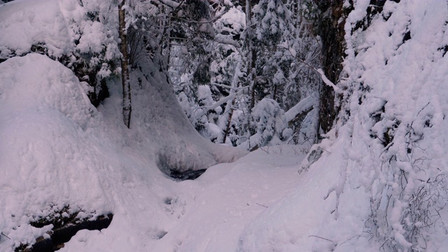 冬季森林中的山溪。冬季景观中冰雪下的山河流动视频素材