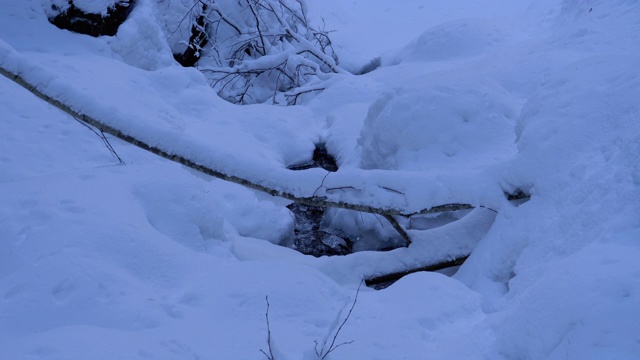 冬季森林中的山溪。冬季景观中冰雪下的山河流动视频素材