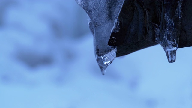 冷杉林里的冰柱融化了。雪山景观视频素材