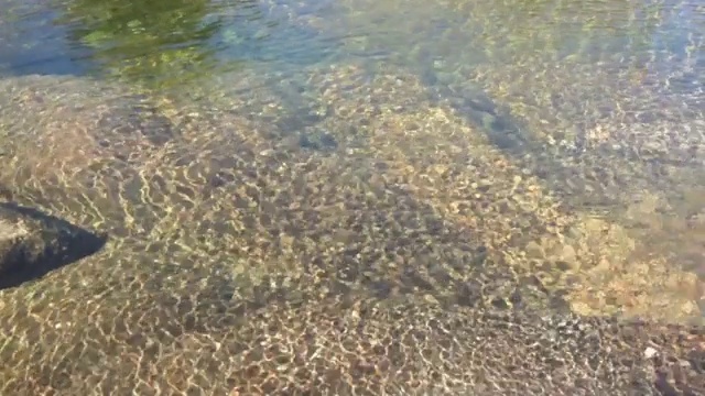 清澈的河水，底部有小波浪和岩石视频下载