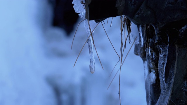 冷杉林里的冰柱融化了。雪山景观与瀑布视频素材