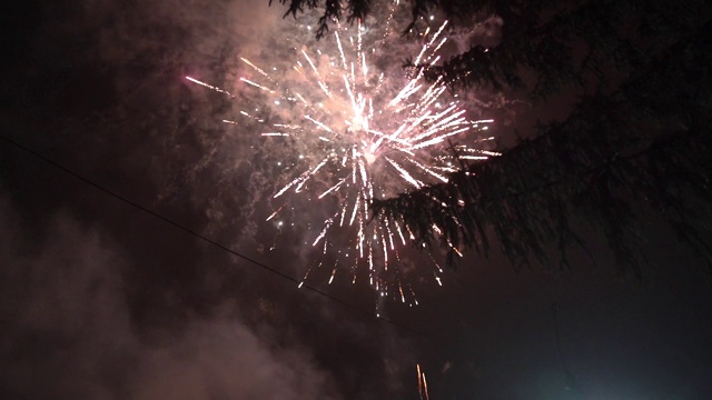 烟花在夜空中视频素材