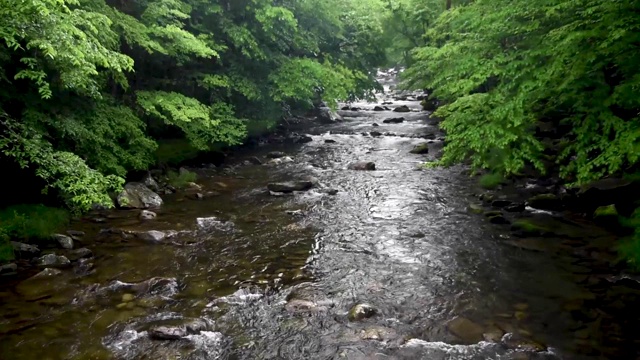 美国大烟山国家公园的小溪视频素材