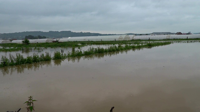 村庄、树木和淹没在洪水中，由于大雨造成的大水流视频素材