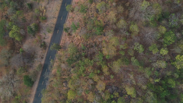 山道和森林景观鸟瞰图视频素材