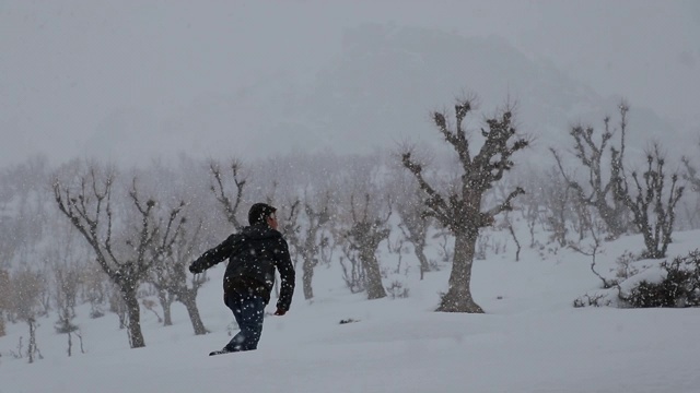 孩子在积雪下行走在雾蒙蒙的森林里。视频素材