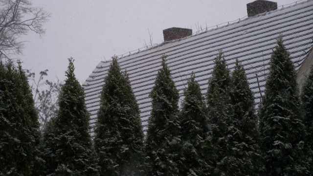 房子和树在下雪的时候视频素材