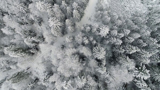 飞过冬天奇妙的森林。空中鸟瞰被雪覆盖的树木。欧洲山地混交林，自然冬季概念。4 k, UHD视频素材