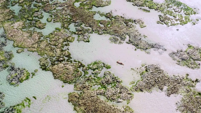 空中女人躺在暗礁之间的浅水里视频素材