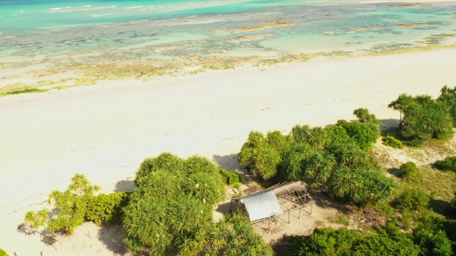 桑给巴尔海滩上的空中小屋视频素材