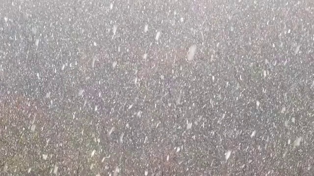 冬天有暴风雪。视频素材