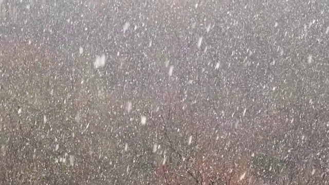 冬天有暴风雪。视频素材