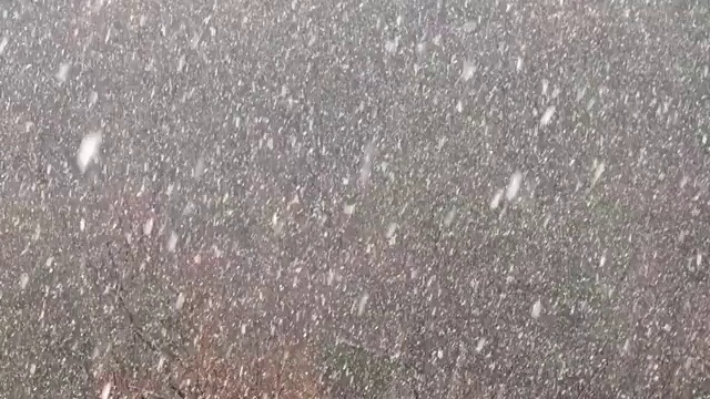 冬天有暴风雪。视频素材