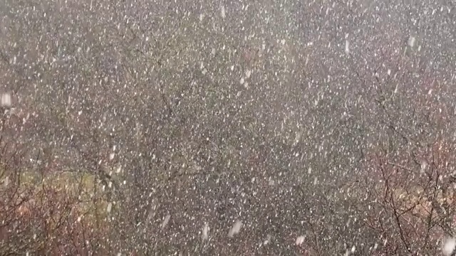 冬天有暴风雪。视频素材