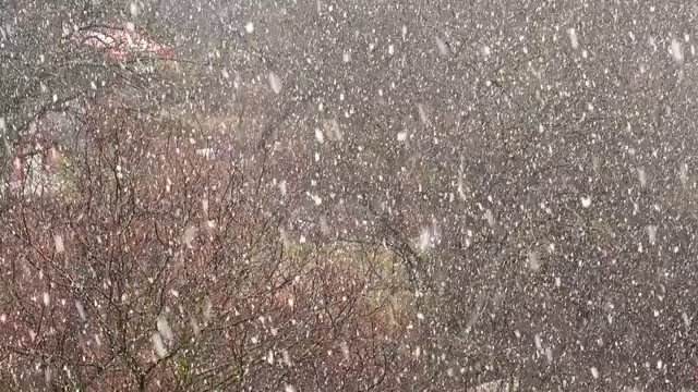 冬天有暴风雪。视频素材