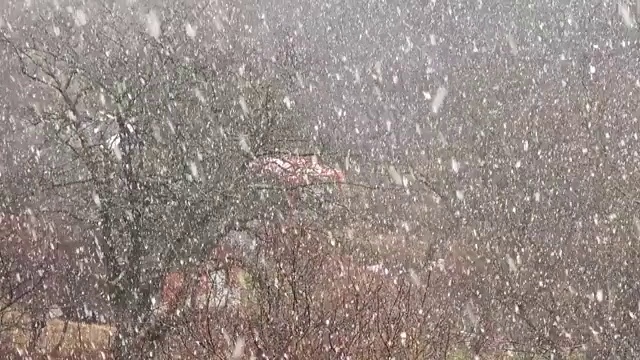 冬天有暴风雪。视频素材