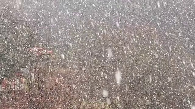 冬天有暴风雪。视频素材