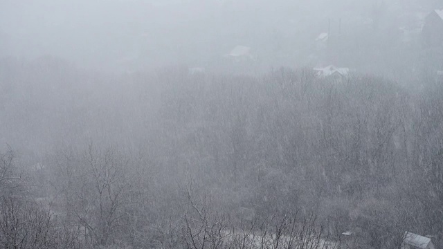 冬天有暴风雪。视频素材