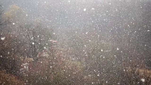 冬天有暴风雪。缓慢的运动。视频素材