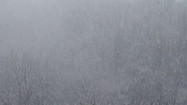 冬天有暴风雪。视频素材