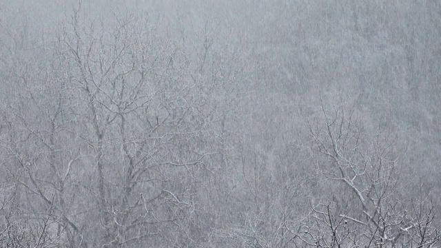 冬天有暴风雪。视频素材