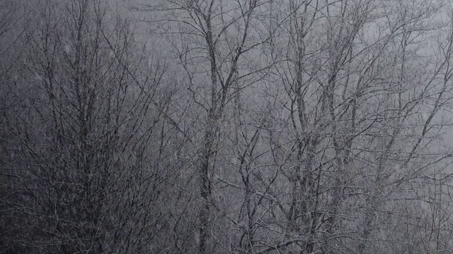 冬天有暴风雪。视频素材