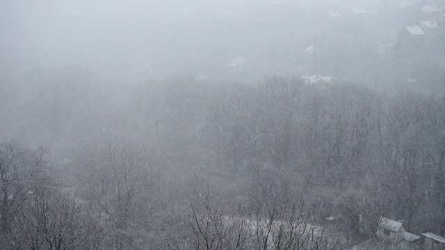 冬天有暴风雪。视频素材