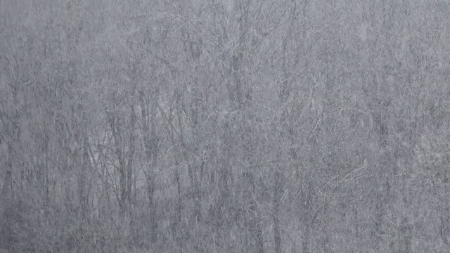 冬天有暴风雪。视频素材