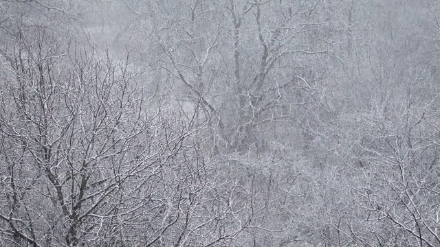 冬天有暴风雪。视频素材