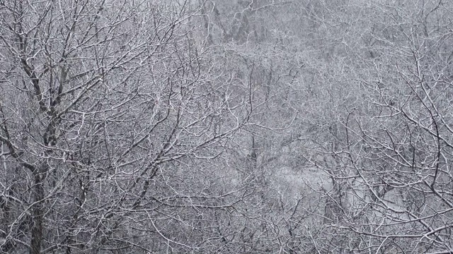 冬天有暴风雪。视频素材