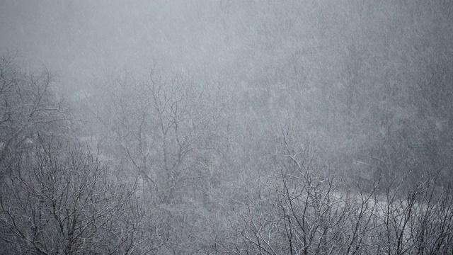 冬天有暴风雪。视频素材