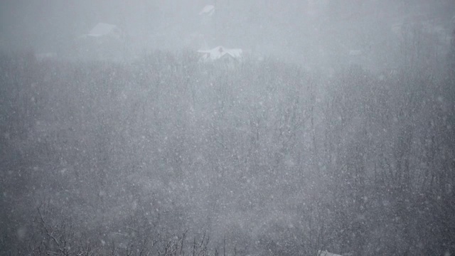 冬天有暴风雪。缓慢的运动。视频素材