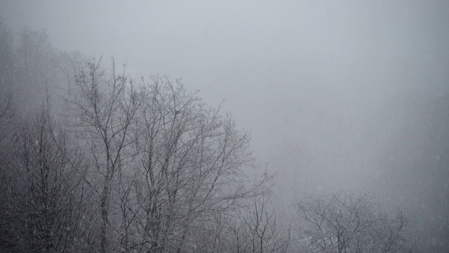 冬天有暴风雪。视频素材