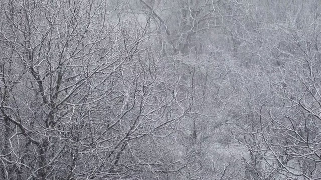 冬天有暴风雪。视频素材