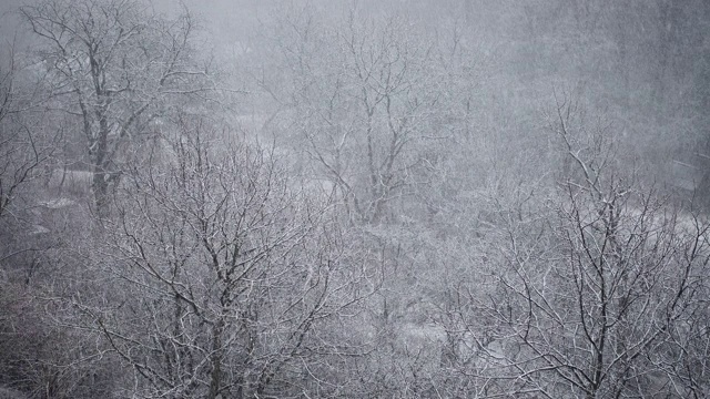 冬天有暴风雪。视频素材