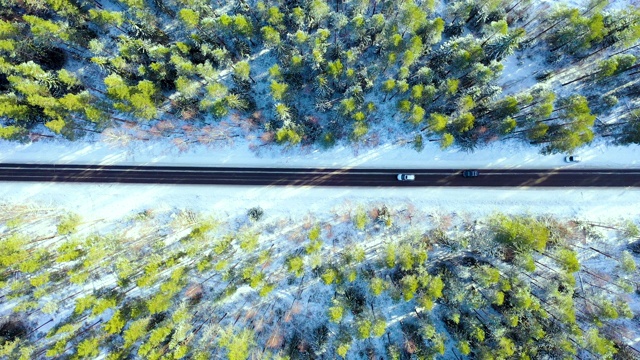 鸟瞰图的一个冬季乡村道路在森林与移动的汽车。美丽的风景。无人机从上面拍下的。空中鸟瞰公路与汽车。鸟瞰森林。视频素材