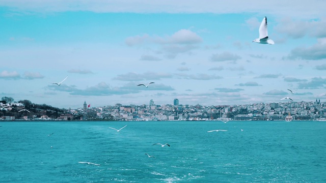 从船上看蓝色的海面，白色的海鸥在飞翔，城市在地平线上视频素材