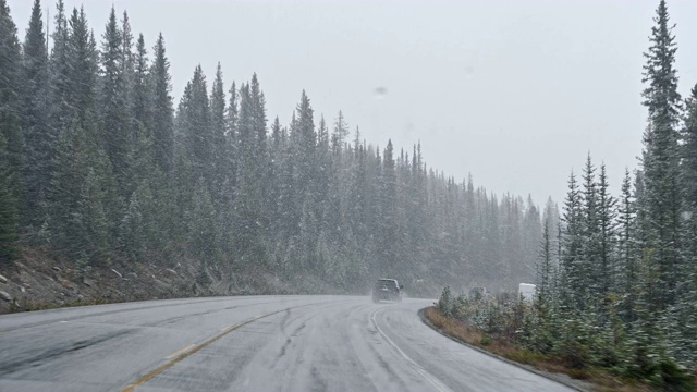 在班夫国家公园的松林里，一辆汽车在大雪中行驶在高速公路上视频素材