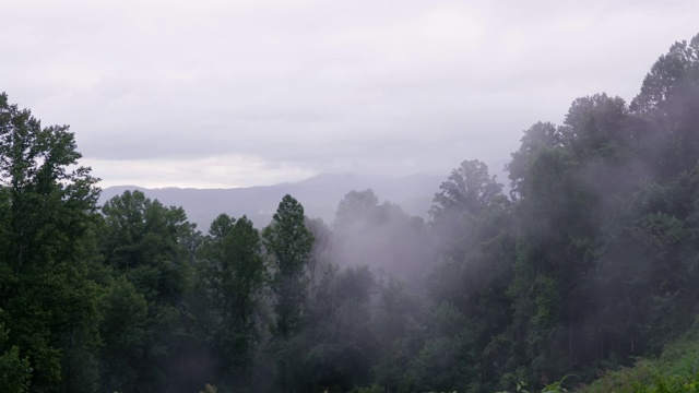 大雾在大烟山的暮色中穿过树林。视频素材