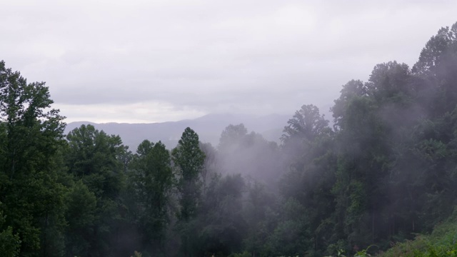 浓雾滚滚进入大烟山。视频素材