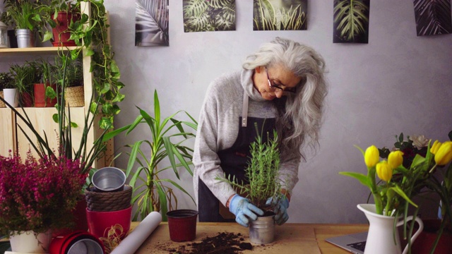 资深女性喜欢她的植物视频素材