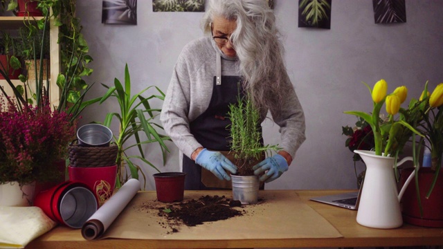 资深女性喜欢她的植物视频素材