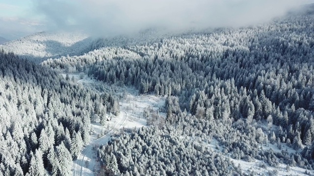 空中飞过白雪覆盖的树木和道路视频素材