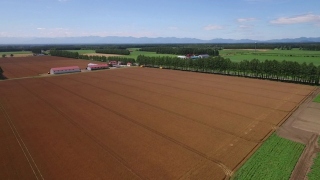 日本，北海道，麦田视频素材