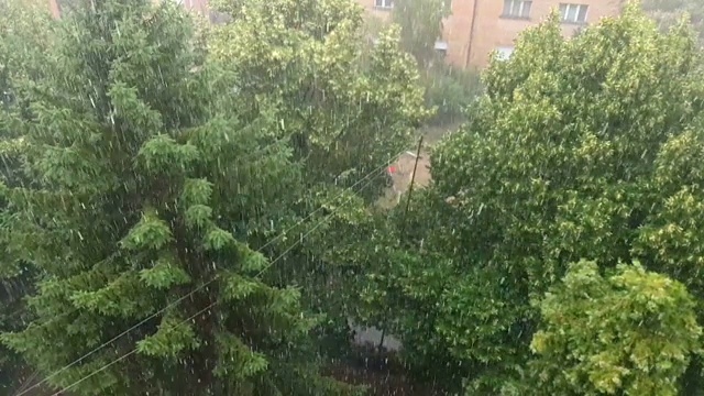 夏雨视频素材