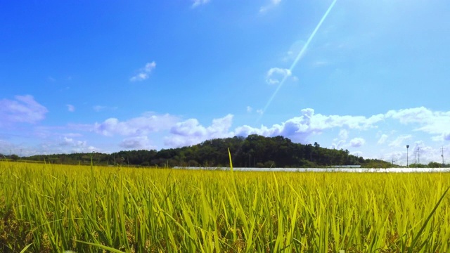 高山和农田视频素材